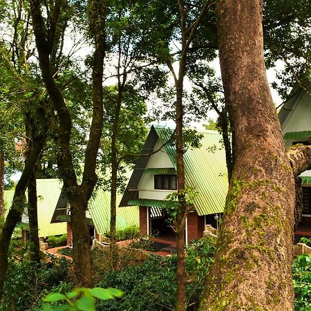 Misty Woods Resort Kakkabe Kültér fotó