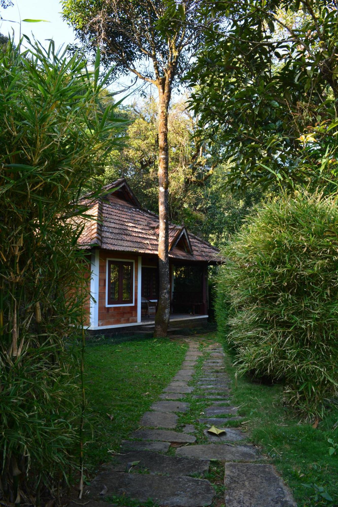 Misty Woods Resort Kakkabe Szoba fotó