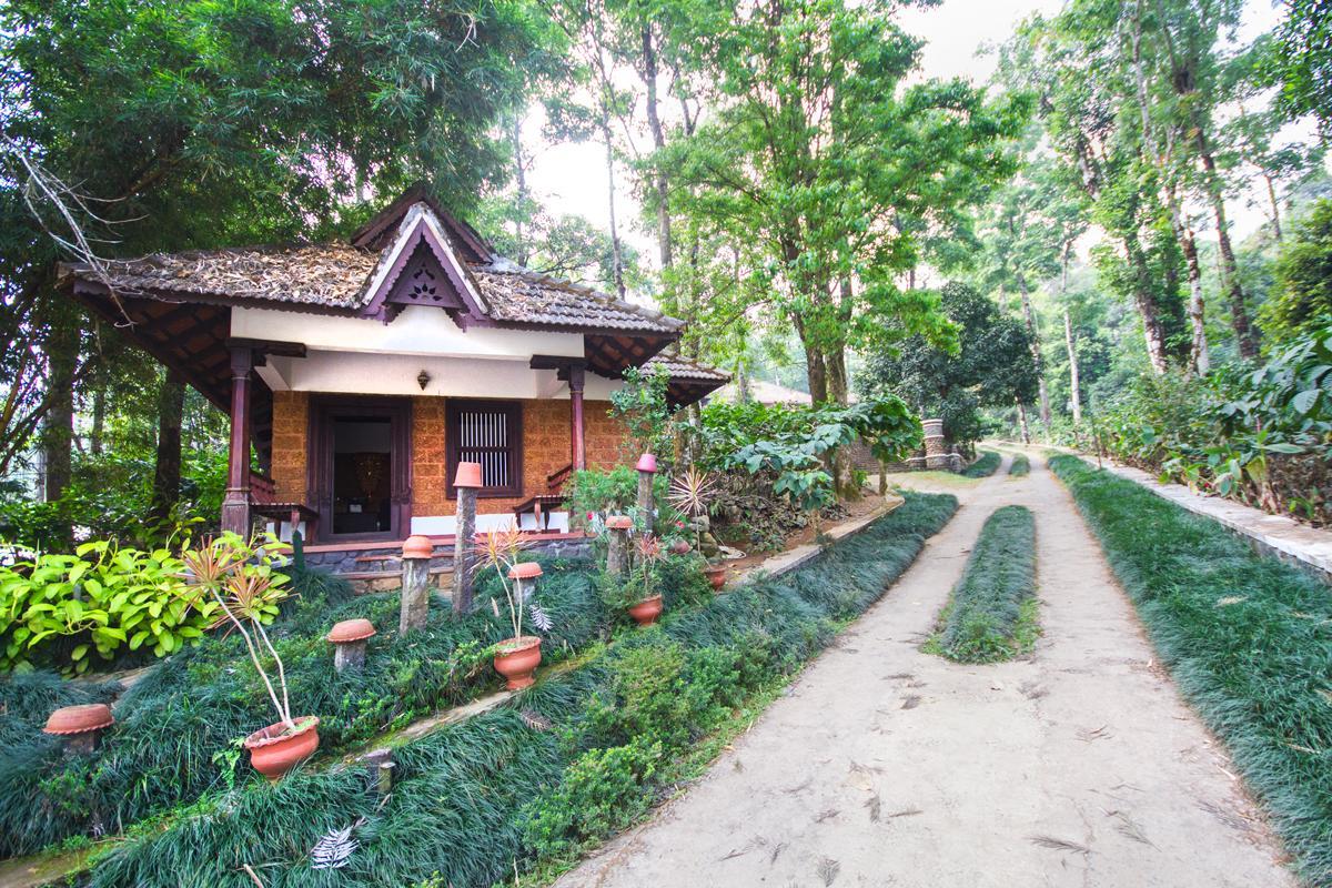 Misty Woods Resort Kakkabe Kültér fotó
