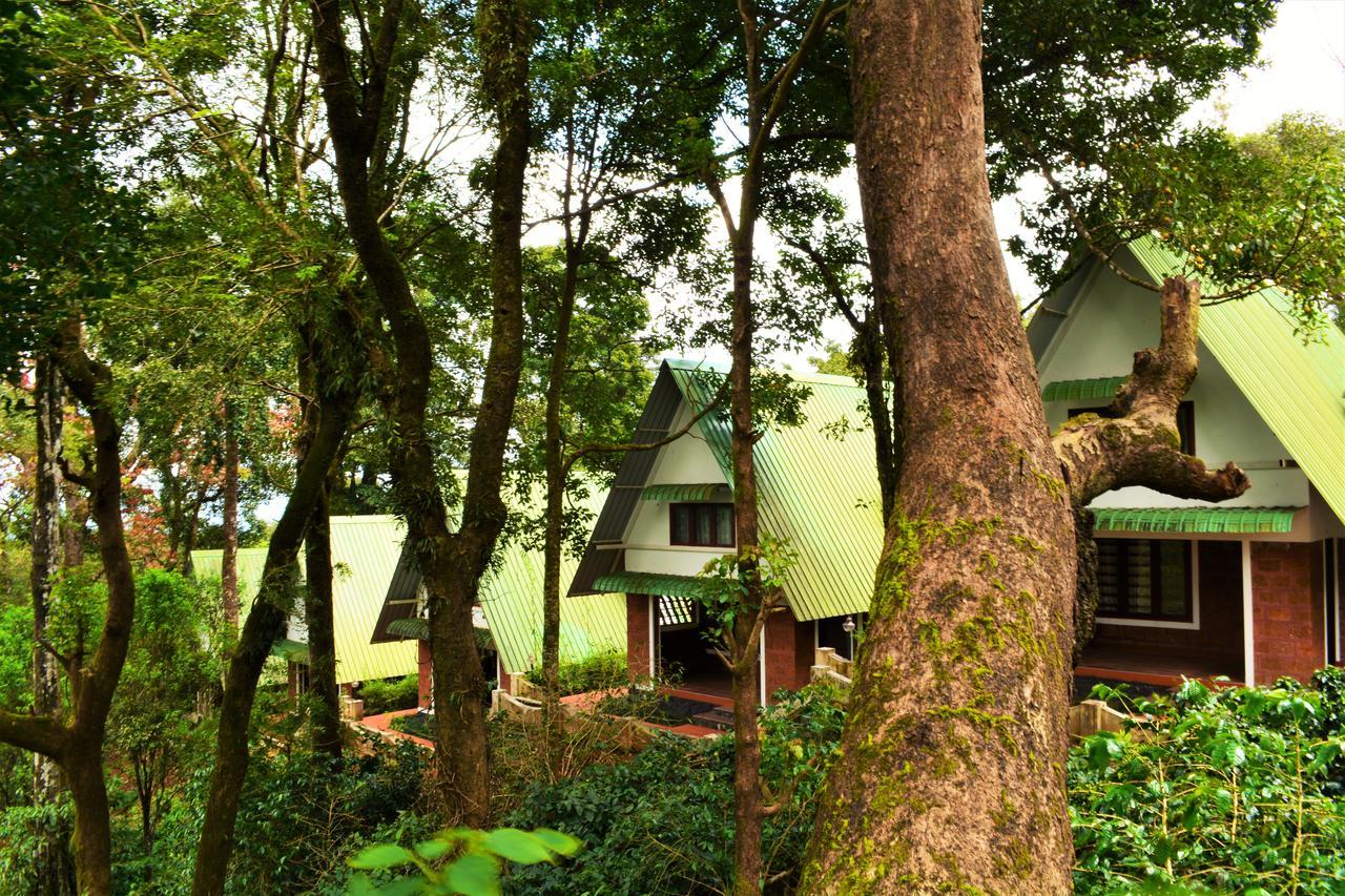Misty Woods Resort Kakkabe Kültér fotó